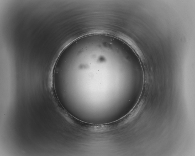 X0000101410858200807211054