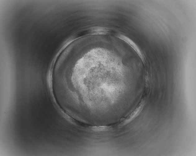 X0000101410859200807211054