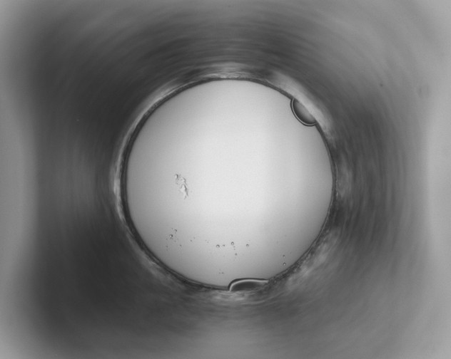 X0000101410861200807211054