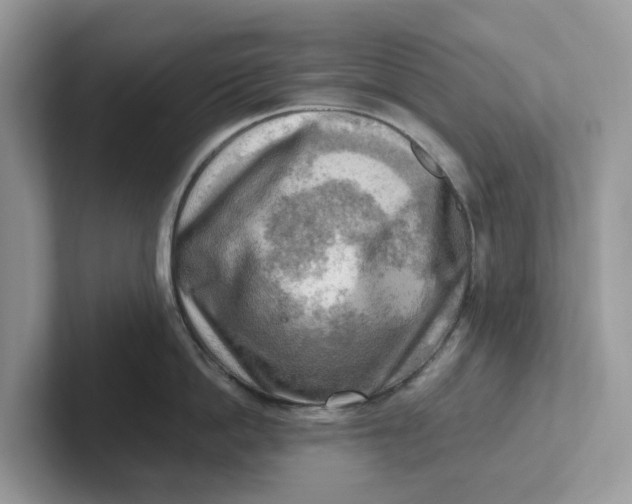 X0000101410862200807211054