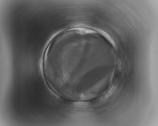 X0000101410863200807211054