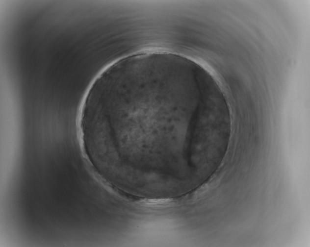 X0000101410864200807211054