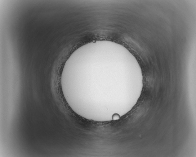 X0000101410865200807211053