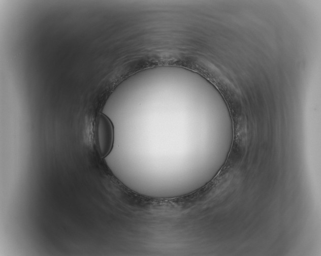 X0000101410866200807211053