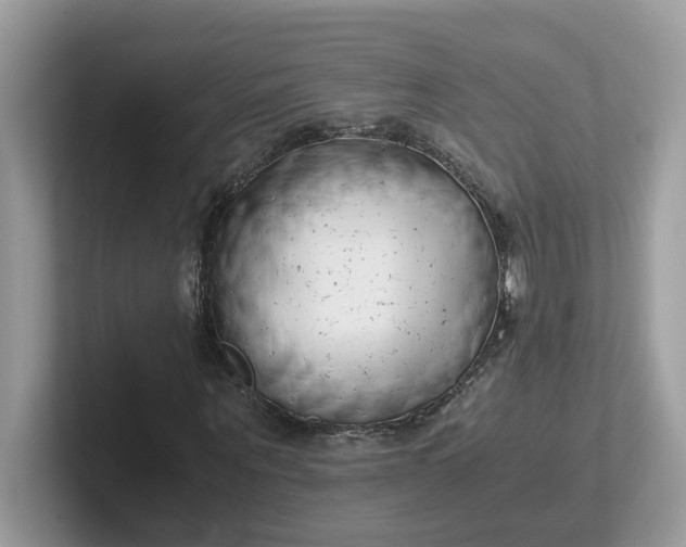 X0000101410867200807211053