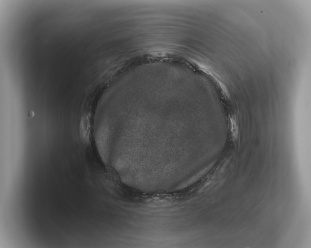 X0000101410868200807211053