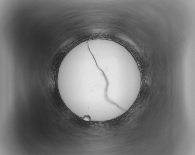 X0000101410869200807211053