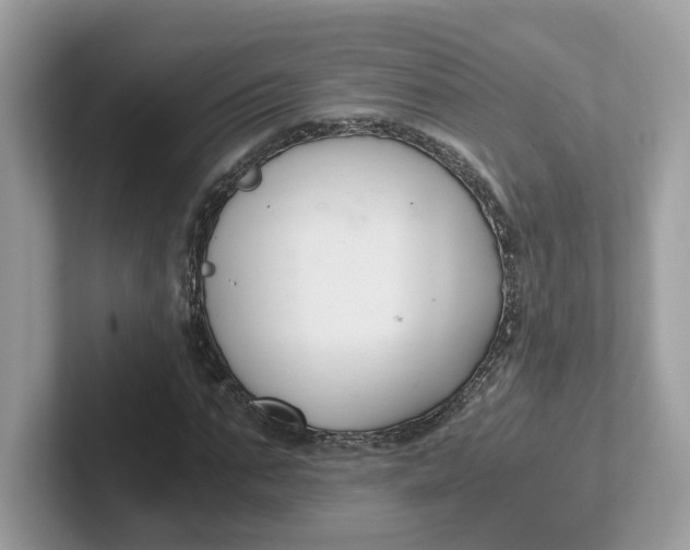 X0000101410871200807211053