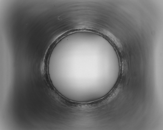 X0000101410876200807211053