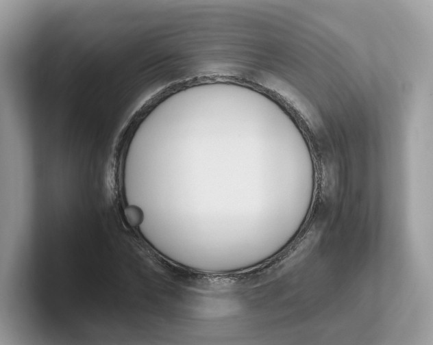 X0000101410878200807211053