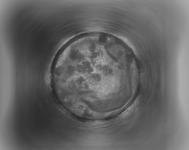 X0000101410879200807211053