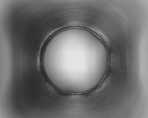 X0000101410880200807211053