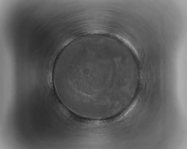 X0000101410881200807211053