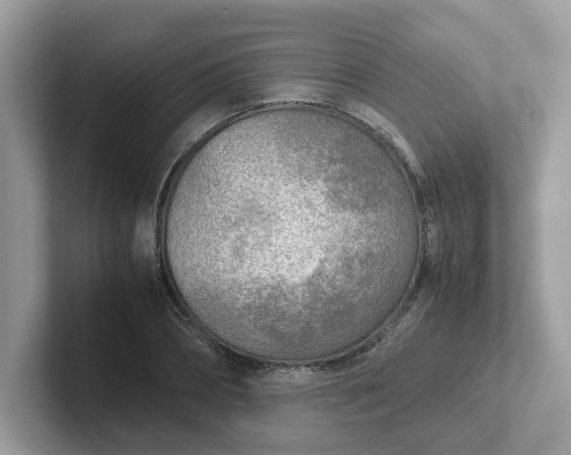 X0000101410882200807211053