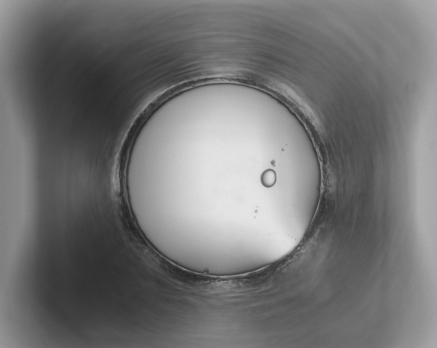 X0000101410883200807211053