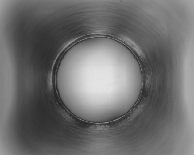 X0000101410884200807211053