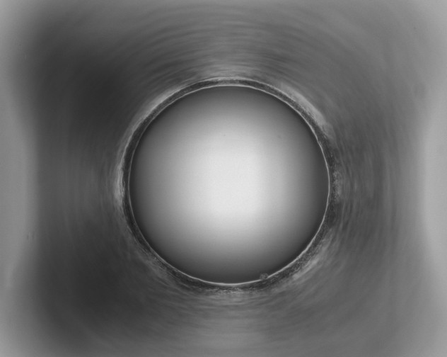 X0000101410885200807211053