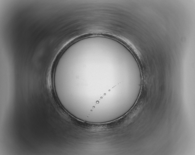 X0000101410887200807211053