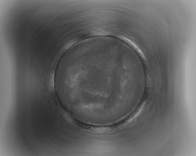 X0000101410889200807211053