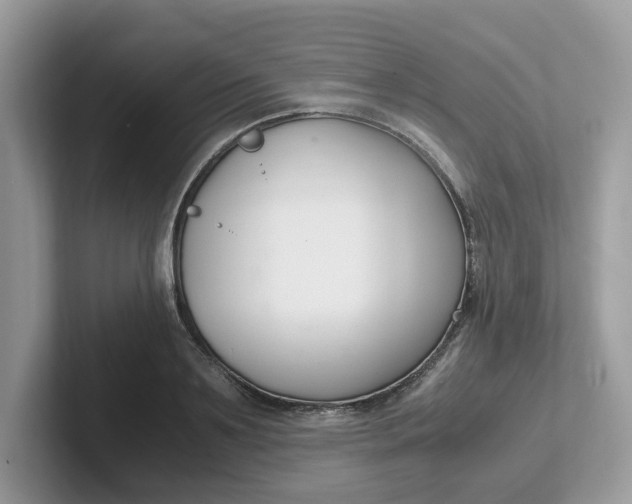 X0000101410891200807211053