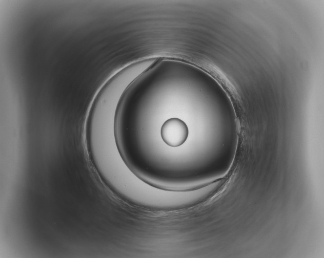 X0000101410892200807211053