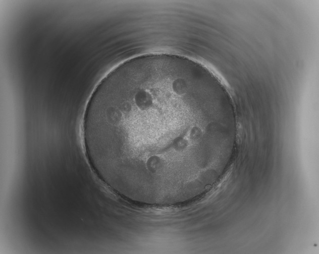 X0000101410895200807211053