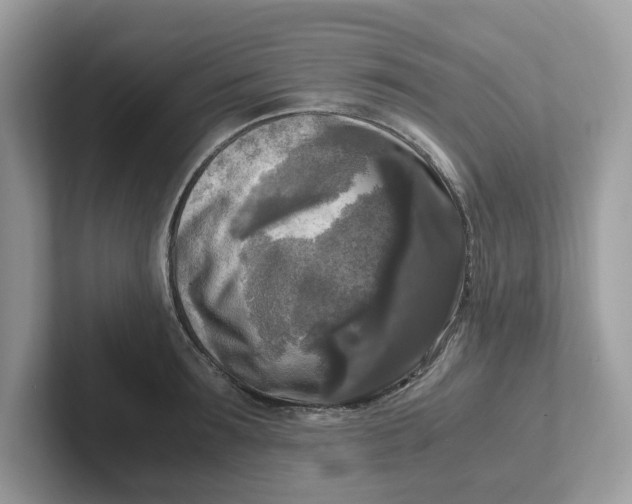 X0000101410899200807211053