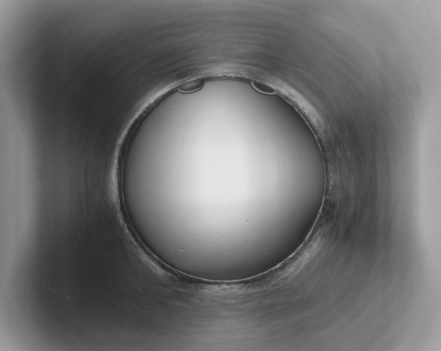 X0000101410902200807211053