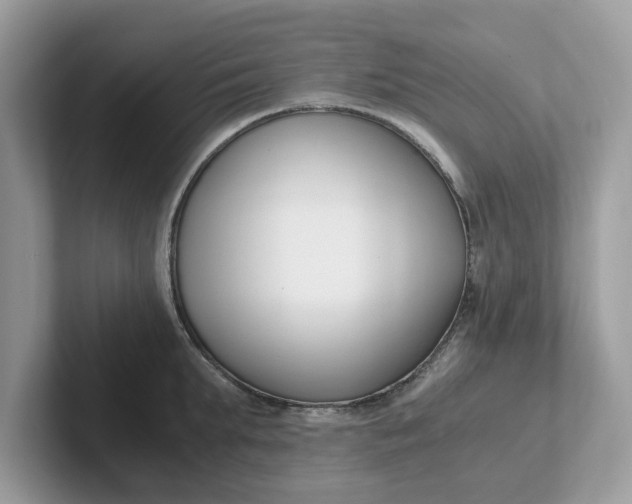 X0000101410903200807211053