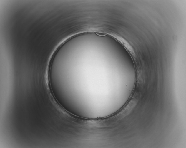 X0000101410904200807211053