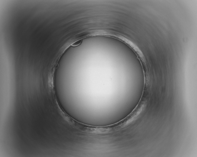 X0000101410905200807211053