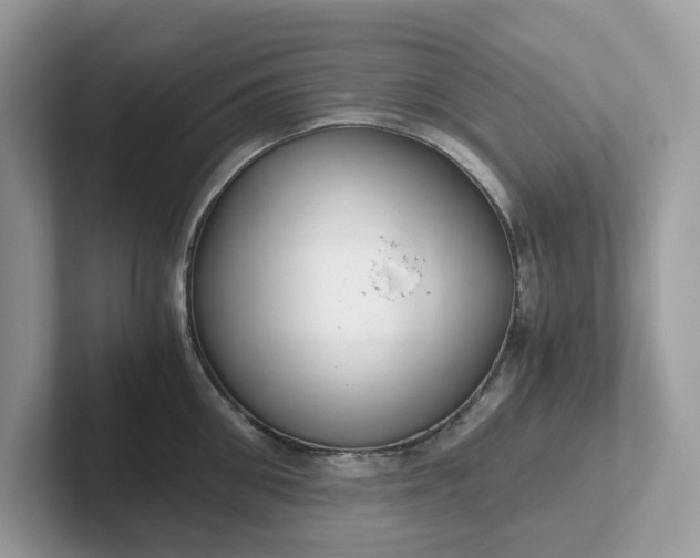 X0000101410906200807211053