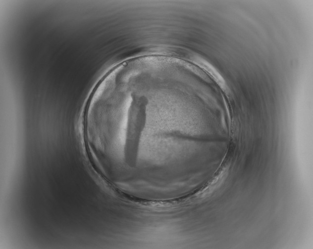 X0000101410907200807211053