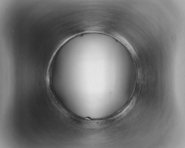 X0000101410908200807211053