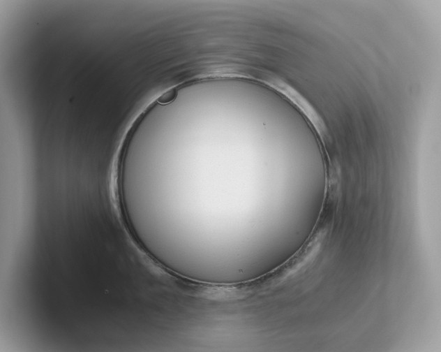 X0000101410909200807211053