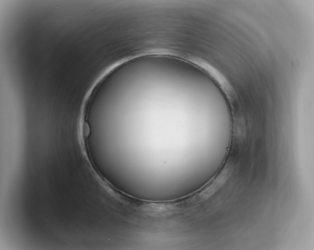 X0000101410910200807211053