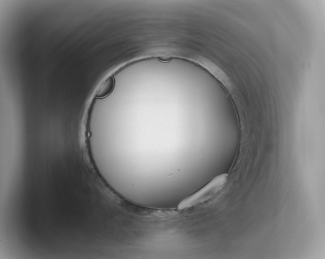 X0000101410912200807211053