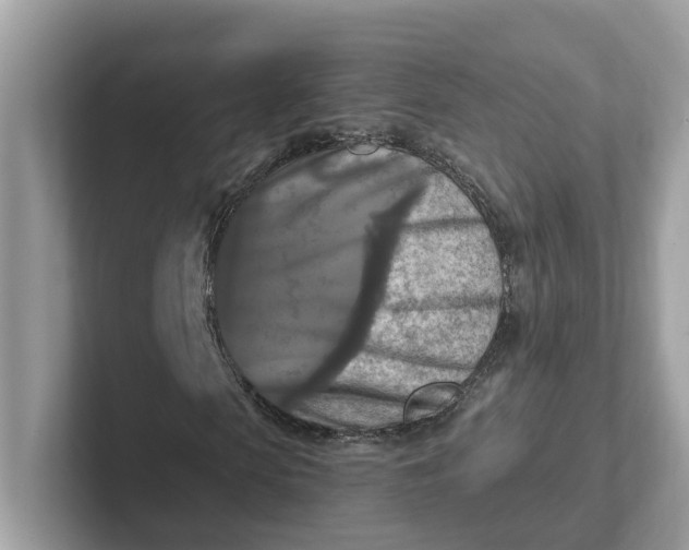 X0000101410913200807211052