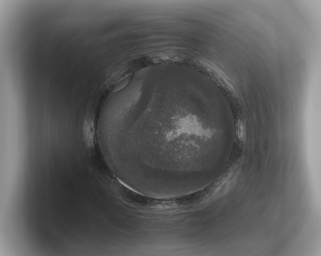 X0000101410915200807211052