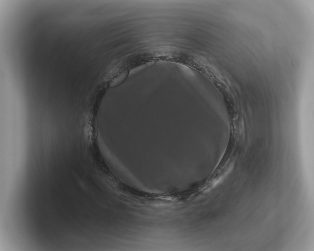 X0000101410916200807211052