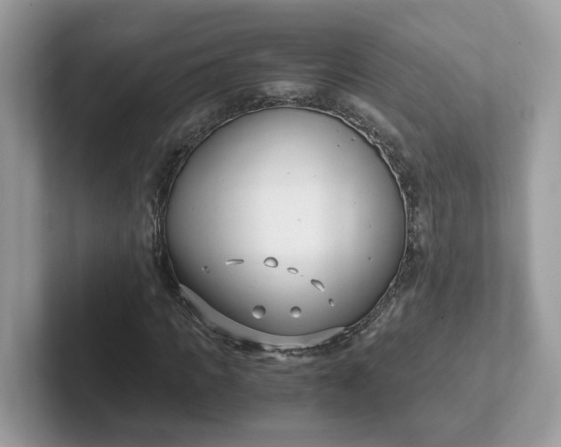 X0000101410917200807211052