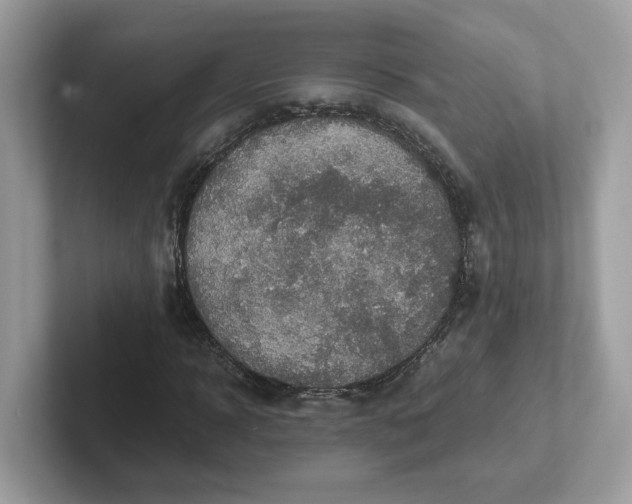 X0000101410918200807211052