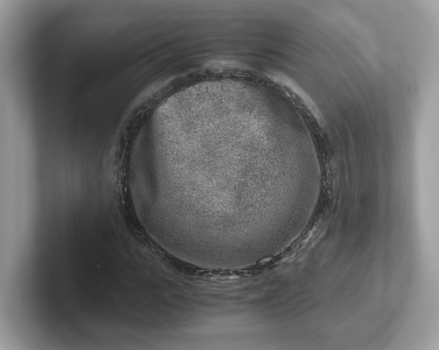 X0000101410919200807211052