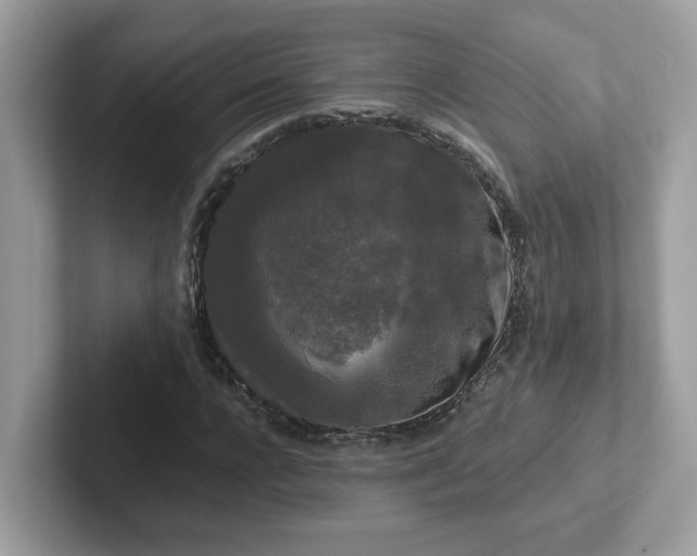 X0000101410920200807211052