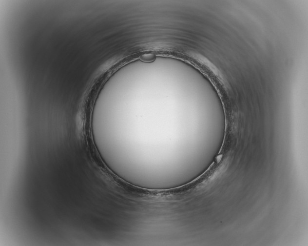 X0000101410922200807211052