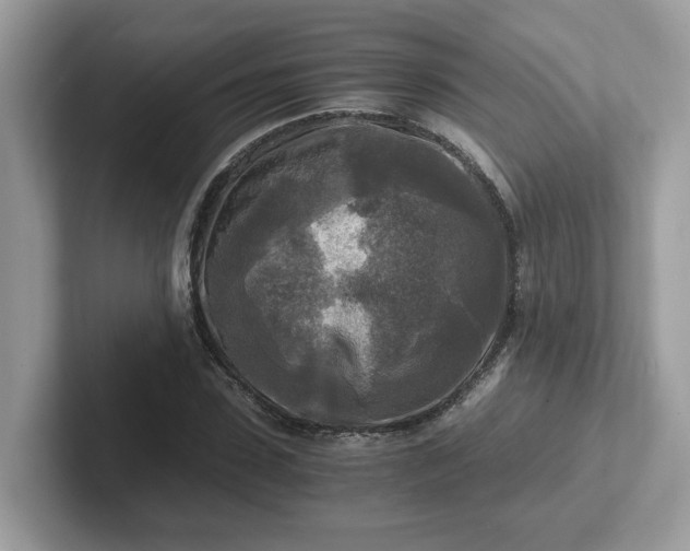 X0000101410923200807211052