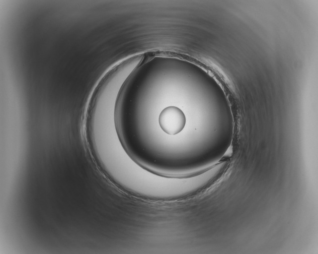 X0000101410924200807211052