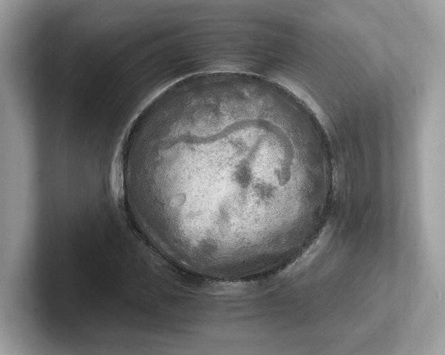 X0000101410925200807211052