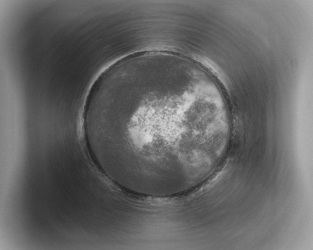 X0000101410928200807211052