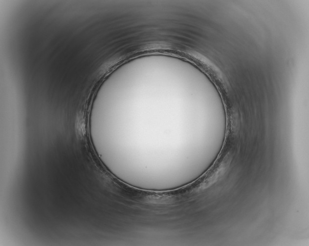 X0000101410929200807211052